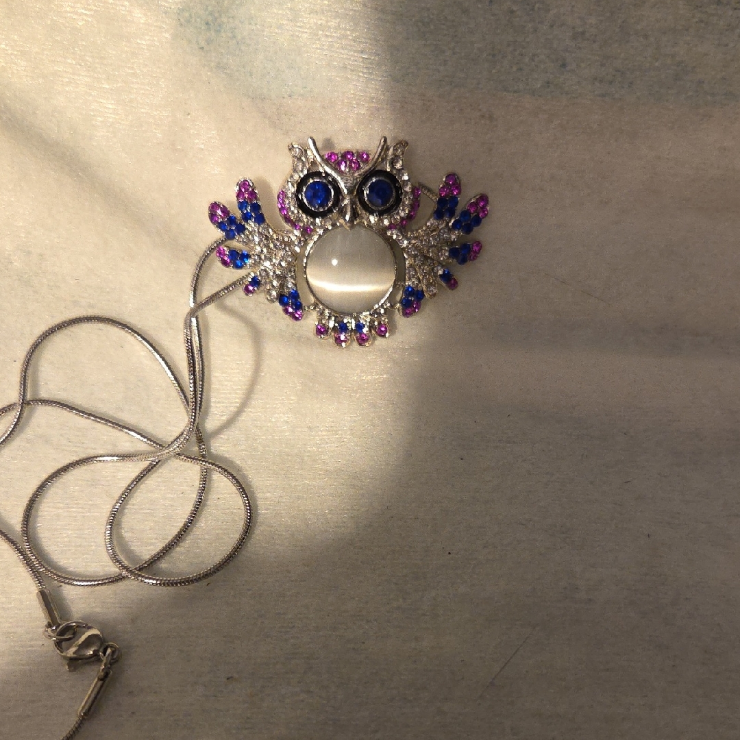 Charming Silver Owl Necklace With Blue And Purple Details 6$